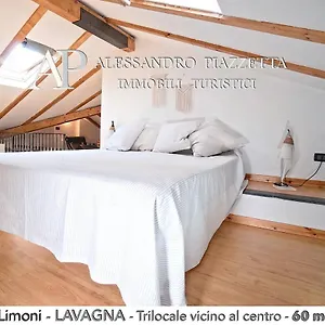 Mansarda Limoni Lavagna